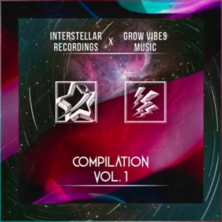 INTERSTELLAR RECORDINGS X GROW VIBES MUSIC COMPILATION VOL 1