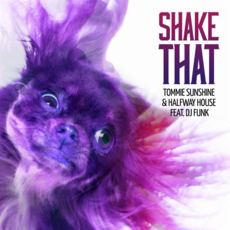 Shake That (Radio Edit) ft. Halfway House & DJ Funk