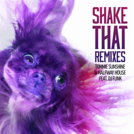 Shake That (Hypster Remix) ft. Halfway House & DJ Funk