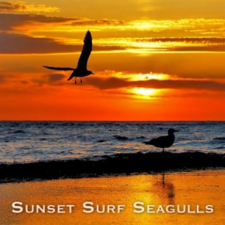 Sunset, Surf & Seagulls