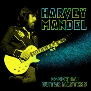 Harvey Mandel