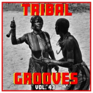 Tribal Grooves, Vol. 43