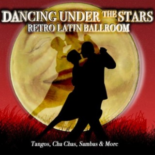 Download Various Artists album songs Dancing Under the Stars