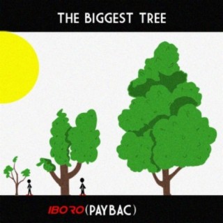 The Biggest Tree