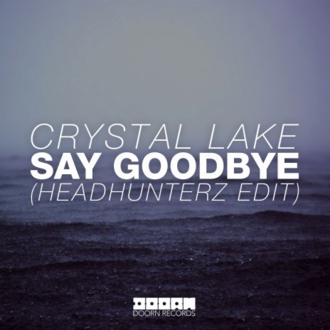 Say Goodbye (Headhunterz Radio Edit) | Boomplay Music