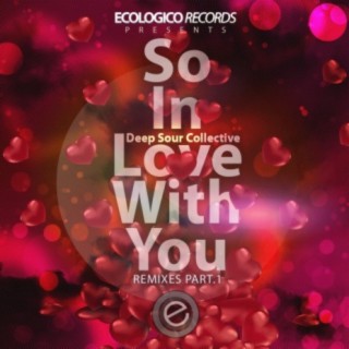 So In Love With You Remixes, Vol. 1