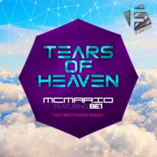 Tears Of Heaven (Voy Brothers Remix)