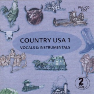 Country USA, Vol. 1