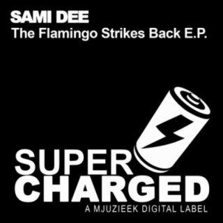 The Flamingo Strikes Back E.P.