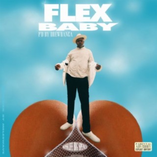 Flex Baby