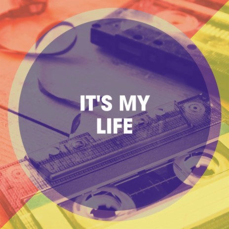 It's My Life | Boomplay Music