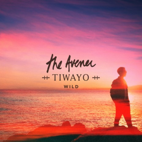 Wild (The Avener Rework) ft. Tiwayo | Boomplay Music