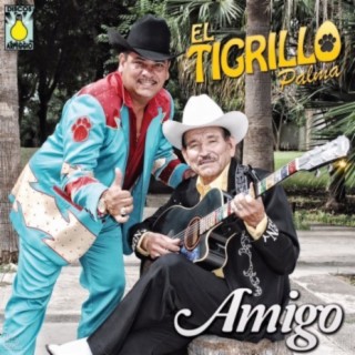 Amigo