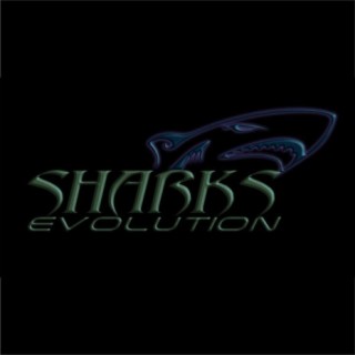 Sharks Evolution