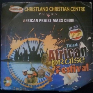 African Praise Festival Vol. 2