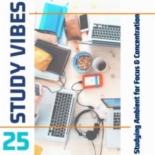 25 Study Vibes: Studying Ambient for Focus & Concentration