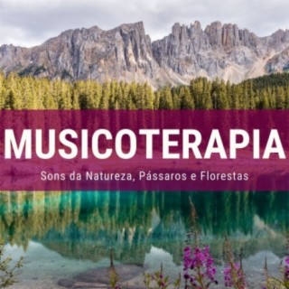 Musicoterapia 2019: Música Relaxante com Sons da Natureza, Pássaros e Florestas