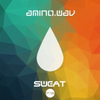 Amino.wav