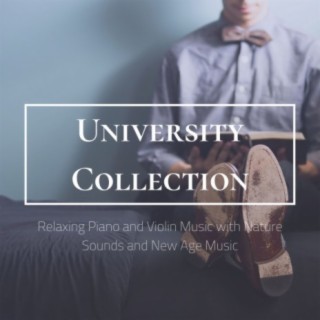 University Collection: Relaxing Piano and Violin Music with Nature Sounds and New Age Music