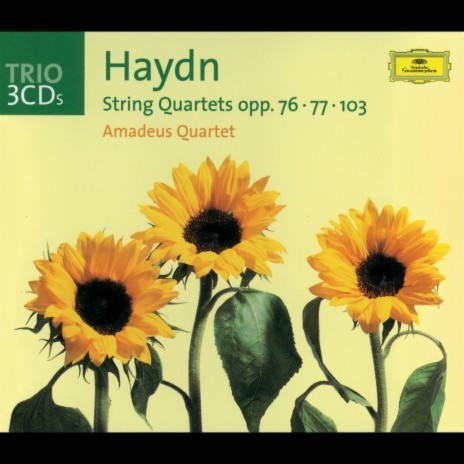 Haydn: String Quartet in B Flat Major, Hob.III: 78 ,Op. 76, No. 4 - Sunrise - IV. Finale (Allegro ma non troppo) | Boomplay Music