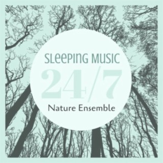 Sleeping Music 24/7: Nature Ensemble