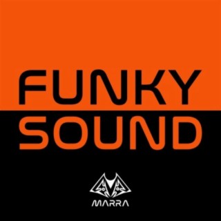 Funky Sound (Extended Mix)