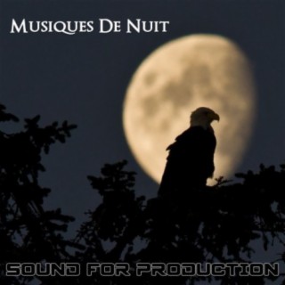 Sound For Production Musiques De Nuit