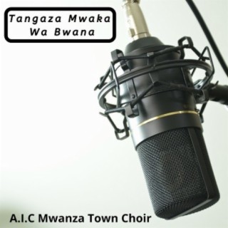 Mwanza Town Choir