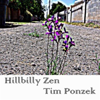 Hillbilly Zen
