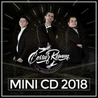 Mini CD 2018