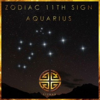 Zodiac 11th Sign: Aquarius