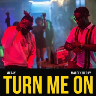 Turn Me On ft. Maleek Berry lyrics | Boomplay Music