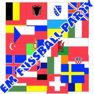 EM Fussball-Party