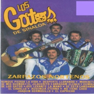 Zarpazos Nortenos