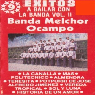 9 Exitos: A Bailar Con La Banda Vol. 2