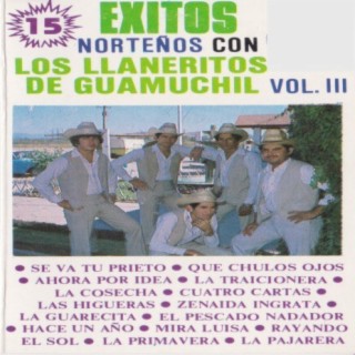 15 Exitos Nortenos Con Los Llaneritos De Guamuchil Vol. 3