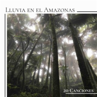 Lluvia en el Amazonas 20 Canciones: Música con Sonidos Ambientales de Tormenta, Lluvia, Agua y Pájaros