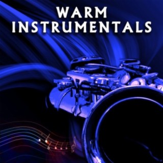 Warm Instrumentals: Warm Instrumentals