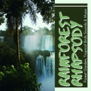 Rainforest Rhapsody: Serenade of a Forest Garden, Tropical Birds Sounds & Music