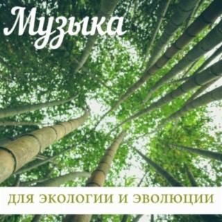 Музыка для экологии и эволюции: Звуки природы для предотвращения изменения климата