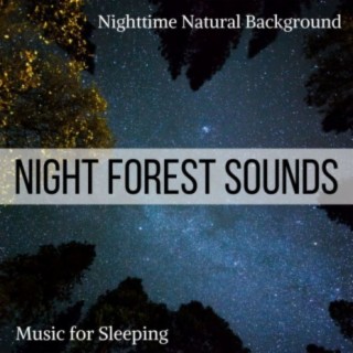 Night Forest Sounds: Nighttime Natural Background Music for Sleeping