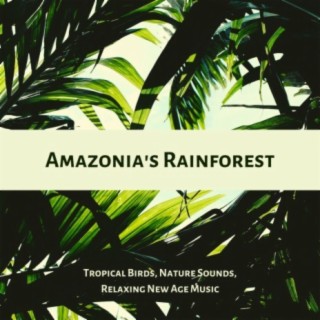 Amazonia's Rainforest: Tropical Birds, Nature Sounds, Relaxing New Age Music
