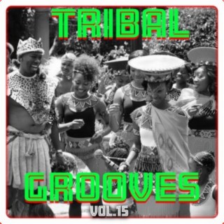 Tribal Grooves, Vol. 15