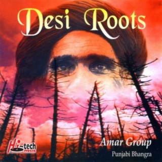 Amar Group