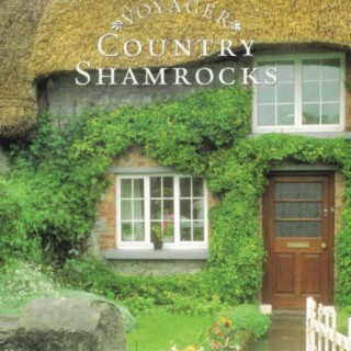 Irish Country Shamrocks