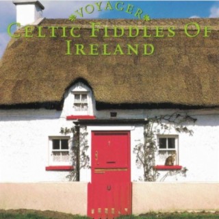 Celtic Fiddles of Ireland
