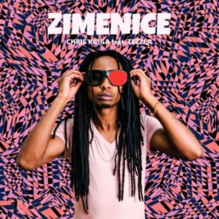 Zimenice ft. Tezzla lyrics | Boomplay Music