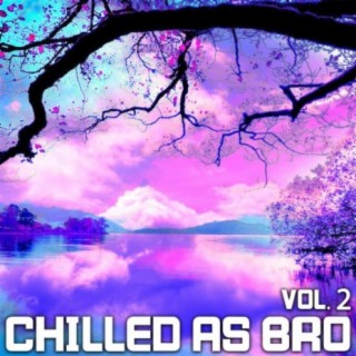 Chilled As Bro, Vol. 2