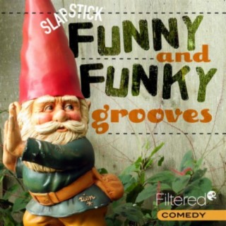 Funny and Funky Grooves