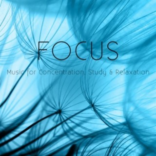 Focus: Music for Concentration, Study & Relaxation